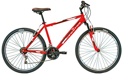 Le moins cher : New Star 87MS311